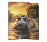 DCABEIOOE Hippo 3D Printed Blanket Cushion Blanket Video Games Comforter Cover for Kid Teens Boys And Girls Man 60x80inch(150x200cm)