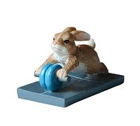 Dcaknri Home Interior Ornaments Creative Squirrel for Resin Exercising Series Decor Kid's Room Art Gifts Girl Home Interior Squirrel Resin Creative Ornaments Fairy Garden Decor