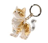 Dcaknri Portable Pet Hair Storage Pendant Kitten-Shaped Design Hair Collector Owners Gift Easy Collection Acrylic Cats Storage Box