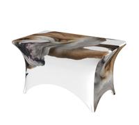 DCEHGEW 4FT Spandex Rectangular Table Cloth, English-Bulldog Printed Fitted Elastic Tablecloths Washable Table Cover for Event, Wedding, Banquet & Party