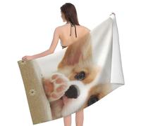DCEHGEW Cute Corgi Prints Microfiber Beach Towel 80x130 CM Quick-Dry Absorbent Pool Towel for Swim Gym Travel
