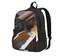 DCEHGEW Japan Samurai Sword Printed Travel Laptop Backpack, Lightweight School Bag for Hiking and Casual Daypack Use