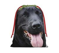 DCEHGEW rottweiler wallpaper Soft Drawstring Gift Wrapping Bags, Reusable Polyester Pouch Storage Bag for Christmas, Halloween, Party Favors, Jewelry, Large Size: 15.8x20.9 inches