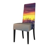 DCEHGEW Winter Snow Sunset Landscape Prints Dining Chair Covers, Washable Removable Restaurant Seat Protectors, Bar Stool & Kitchen Chair Cushion Covers, Home Decor