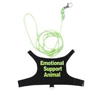 Dcfbkl Small Animal Harnesses Set Comfortable Pet Reptiles Bearded Dragon Harnesses For Outdoor Walks Pet Lizards Clothes