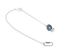 Dcfbkl Stainless Steel Chicken Feeder Skewer Hanging Vegetable Fruit Holder Birdcage Toy for Natural Foraging Behavior Chicken Fruit Feeders