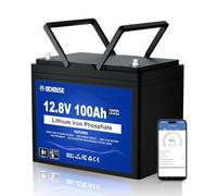 DCHOUSE 12V 100Ah LiFePO4 Lithium Battery, 1280Wh with Bluetooth & 100A BMS, Featuring Low-Temp Cut-Off and Up to 15000 Cycles for Caravans, Solar, Marine, Camper, Trolling Motor, and Off-Grid Systems