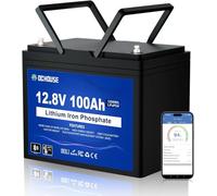 DCHOUSE 12V 100Ah LiFePO4 Lithium Battery, Bluetooth & Low-Temp Cut-Off