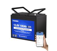 DCHOUSE 12V 100Ah LiFePO4 Lithium Leisure Battery with Bluetooth, Low-Temp Cut-Off, 6000-15000 Deep Cycles - Ideal for Caravans, Solar, Marine, Camper, Trolling Motor, Off-Grid Systems