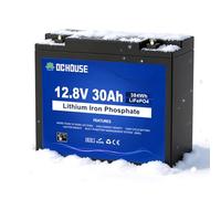 DCHOUSE 12V 30Ah Mini LiFePO4 Lithium Battery,Low Temp Cut-Off,30A BMS