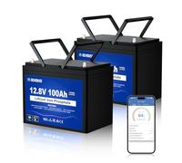 DCHOUSE 2 Pack 12V 100Ah LiFePO4 Lithium Leisure Battery with Bluetooth