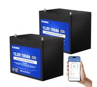 DCHOUSE 2 Pack 12V 100Ah LiFePO4 Lithium Leisure Battery with Bluetooth, Low-Temp Cut-Off, 6000-15000 Deep Cycles - Ideal for Caravans, Solar, Marine, Camper, Trolling Motor, Off-Grid Systems