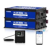 DCHOUSE 48V 100Ah (2-Pack 48V 50Ah) LiFePO4 Lithium Battery 5.12kWh Energy Storage, Built-in 100A BMS-2C, 4000+ Cycles Deep Cycle Battery for Golf Cart, Caravan, Solar System, Motorhome