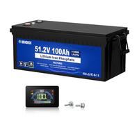 DCHOUSE 48V 100Ah Lifepo4 Battery,One Touch Switch,200A BMS,for Golf Carts