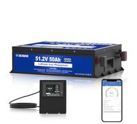 DCHOUSE 48V 50Ah LiFePO4 lithium leisure Battery, Built-in 100A BMS-2C, Bluetooth & Low Temp Cut-Off, Suitable for both Club car, Yamaha Golf Carts, Ryobi Mowers, Trolling Motor, Off-Grid Solar System