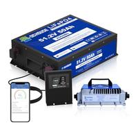 DCHOUSE 48V 50Ah Mini Golf Cart Battery with 18A Battery Charger, Bluetooth Mobile APP & Touch LCD Monitor, Low Temp Cut-Off, 2C-100A BMS, Peak Current 200A for Ryobi Mowers, Golf Carts