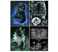 DCIDBEI 30 x 40 cm 5D Diamond Painting Round Diamond Painting Pictures Magic Cat Embroidery Kit Animal Wall Decoration Children's Room Bedroom Living Room Adults Black Cat