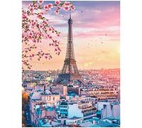 DCIDBEI 40 x 50 cm Paintures de Diamants Carr茅 Paysage Ville Paris Tour Eiffel Broderie Diamond Kit Complete Fleurs de P锚che Adult Enfant, Crystal Artisanat D茅cor d'Int茅rieur Maison Bureau