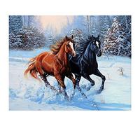 DCIDBEI (40x50cm) DIY 5D Diamond Painting Full Square Drill Kits Running Horse Painting by Diamonds Embroidery Supplies Rhinestone Picture Wall Art Canvas Square Craft for Home Wall Decor