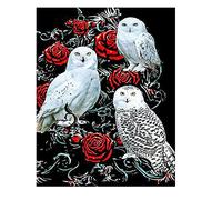 DCIDBEI Diamond Painting Owl 40x50cm Square Drill Snow Owl Rose Stitch Embroidery Adult Painting by Numbers Crystal Art