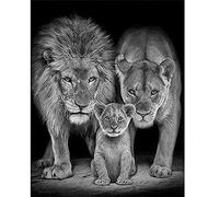 DCIDBEI Diamond Painting Square Stones 40x50cm Paint by Numbers Lion king Diamond Art Square Drill Diamond Painting Lion Cross Stitch Embroidery Canvas Pictures Adult Diamond Painting Lion and Lioness