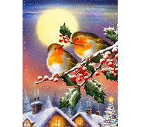 DCIDBEI DIY 5D Diamond Painting by Number Kits Red Fruit Bird Diamond Paint by Numbers Full Drill Crystal Rhinestone Embroidery Pictures Arts Craft for Home Wall Decoration 30X40CM