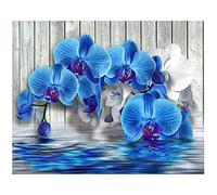 DCIDBEI Round 5D Diamond Painting Orchid 16x20 in/ 50x40 cm Diamond Painting Pictures Adults Children Crystal Rhinestone Embroidery Diamond Paint Orchid Painting by Numbers Orchids Zen Cross Stitch