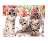 DCIDBEI Square Drills DIY 5D Diamond Painting Animals 3 Cats 50x40cm Diamond Painting Large DIY Glitter Paintings Diamond Painting Adults Children Cross Stitch Embroidery Kit Images Stickers