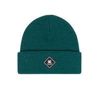Dc Shoes Label Beanie Green