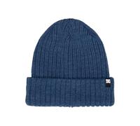 Dcshoes Cuffed Beanie Fish N Destroy 2 Men's Blue One Size