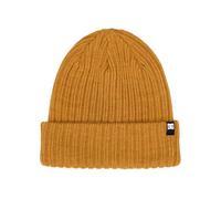 Dcshoes Cuffed Beanie Fish N Destroy 2 Men's Brown One Size
