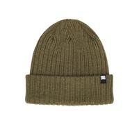 Dcshoes Cuffed Beanie Fish N Destroy 2 Men's Green One Size