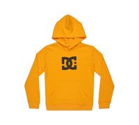 Dcshoes Hoodie DC STAR PH BOY Boys Orange 14/L