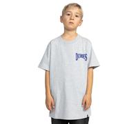 Dcshoes Short-Sleeved T-Shirt Members ONLY SS BOY Boys Grey 10/S