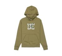 Dcshoes Sweater DC STAR FILLED PH YOUTH Boys Green