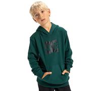 Dcshoes Sweater DC STAR PH KIDS Boy's Green 16/XL