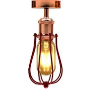 DCvoltage Industrial Vintage Ceiling Light Retro Flush Mount Cage Ceiling Light Wire cage Lampshade Easy Fit Ceiling Lamp for Dining Room Bar Clubs & Restaurants (Rose Gold)