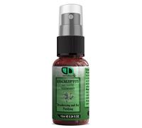 DD Teck Eucalyptus Aromatic Room Spray | 10ml/0.34fl oz | Air Freshener for Home, Car & Office, Long-lasting Fragrance, Smoke free, Non-Toxic, Pillow Mist Spray