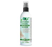 DD teck Peppermint Cooling Foot/Hand Spray - Revitalize and Refresh with a Refreshing Peppermint Formula, Soothes Tired Feet, Cooling Sensation, Reduces Odor, Boosts Circulation (250ml Spray)