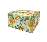 DDB Dutch Design Brand Classic Storage Boxes with Lids - Size: 38.9 x 31.8 x 21.1 cm - FSC Certified Recyclable Cardboard (Print: Lemons, Lemons)