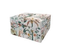 DDB Dutch Design Brand Decorative Storage Boxes with Lids - Size: 38.9 x 31.8 x 21.1 cm - FSC Certified Recyclable Cardboard (Print: Dragonfly)