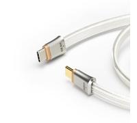 ddHiFi TC19CC (Comet) Digital Signal Cable Pure Silver USB-C to USB-C OTG 45 cm Cable, Four-Wire Parallel Design