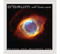 D'Drum - Within You Without You