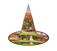 DDSFvbv Country Farm Halloween Party Hat, Witch Hat, Cosplay Accessory, Fancy Dress, Holiday Decorations, One Size
