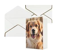 DDTKLSNV Dogs Retriever Thank You Card with Envelopes Greetings Cards for All Occasions Happy Birthday Wedding Thinking of You Card 4x6 Blank Note Cards