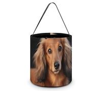 DDTKLSNV Long Haired Dachshund Halloween Trick Or Treat Bag Reusable Halloween Candy Bucket Candy Bag Grocery Bags with Handles for Halloween Party Supplies Favors