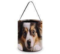 DDTKLSNV Papillon Lying On Tummy Halloween Trick Or Treat Bag Reusable Halloween Candy Bucket Candy Bag Grocery Bags with Handles for Halloween Party Supplies Favors