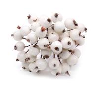 Ddujbtp Decorative Berries Branch Hangings Artificial Berries Sprigs For Crafting And Decorating Christmas And Wedding Venues Bouquets Accessories