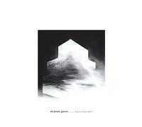 De Beren Gieren - Dug Out Skyscrapers [VINYL]