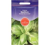 De Bolster Basil "Green Genovese" - 1 g